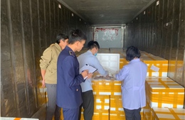 Phát hiện trên 10 tấn cá khoai chứa chất cấm được đưa đi tiêu thụ