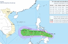 Từ Quảng Trị đến An Giang chủ động ứng phó với áp thấp nhiệt đới gần Biển Đông