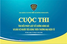 Tìm hiểu pháp luật về chống hàng giả và bảo vệ người tiêu dùng trên thương mại điện tử