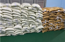 Phát hiện, tạm giữ gần 2 tấn đường không rõ nguồn gốc, xuất xứ