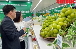 Khai mạc Phòng trưng bày nhân Ngày Phòng chống hàng giả, hàng nhái 