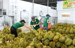 Đột phá phát triển xanh cho nông nghiệp và môi trường giai đoạn 2026-2030