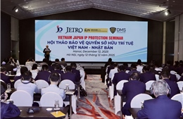 Việt Nam - Nhật Bản tăng cường hợp tác bảo vệ quyền sở hữu trí tuệ