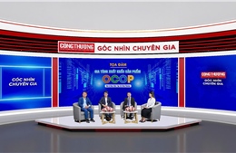 Đưa sản phẩm OCOP Việt ra thị trường quốc tế