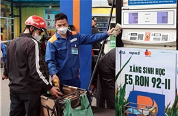 Xăng, dầu đồng loạt giảm giá từ chiều 27/11