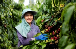 Kinh tế tuần hoàn là động lực chuyển đổi xanh 