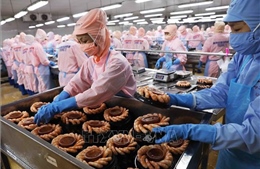 80 năm ngành Nông nghiệp và Môi trường: Từ ‘diệt giặc đói’ đến cường quốc xuất khẩu nông sản 