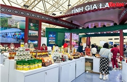 Không gian đậm bản sắc Tây Nguyên tại Hội chợ Mùa Thu 2025