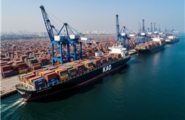 Tháo gỡ thành công cho gần 500 container chè của Việt Nam bị kẹt tại cảng Karachi, Pakistan