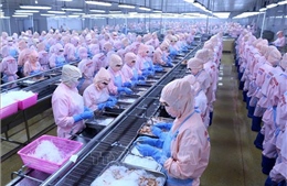 Từng bước tháo gỡ khi Mỹ cấm nhập 12 nhóm loài thủy sản Việt Nam