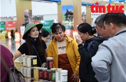 Hội chợ Mùa Xuân 2026 được kỳ vọng sẽ đạt tổng doanh thu vượt 1.000 tỷ đồng