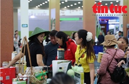 Doanh nghiệp kỳ vọng lớn ở Hội chợ Quốc gia Mùa Xuân 2026