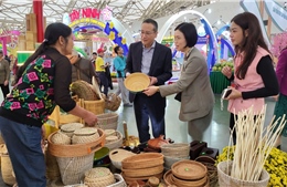 Nhiều tổ chức, đoàn nước ngoài tham quan và đánh giá cao Hội chợ Mùa Xuân 2026