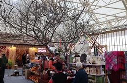 Hội chợ Mùa Xuân 2026: Mong muốn lan tỏa thương hiệu trà Việt ra thế giới