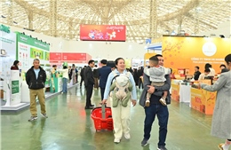  Hội chợ Mùa xuân: Người dân được gửi xe, mượn giỏ đựng hàng, xe kéo miễn phí 