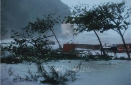 Dùng tên bão TOMO thay cho YAGI