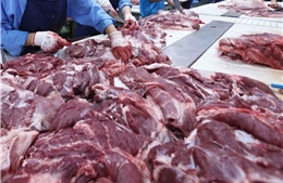 Thí điểm niêm yết và giao dịch thịt heo trên Sở Giao dịch hàng hóa Việt Nam 