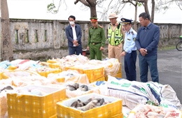 Phát hiện, tiêu hủy hơn 2,6 tấn nội tạng động vật không rõ nguồn gốc