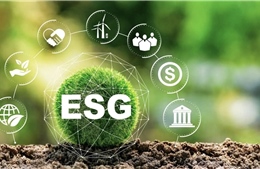 Lần đầu xây dựng khung tiêu chuẩn ESG, mở lối vốn ưu đãi cho dự án xanh