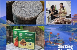 Các đặc sản được kích cầu tiêu thụ trong Tuần lễ sản phẩm Hà Tĩnh tại Thủ đô