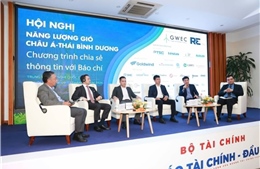 Điện gió Việt Nam trước cơ hội bứt tốc mới