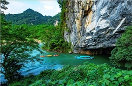 Bộ Nông nghiệp và Môi trường đề xuất phương án quản lý các vườn quốc gia liên tỉnh