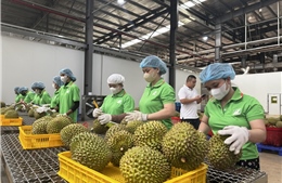 Doanh nghiệp phải thích ứng quy định mới khi xuất nhập khẩu nông sản sang Trung Quốc