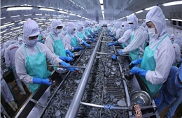 Xuất khẩu thủy sản năm 2026 có nhiều dư địa tăng trưởng