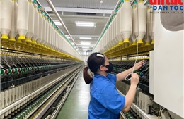 Tăng cường truy xuất nguồn gốc, minh bạch chuỗi cung ứng trước yêu cầu mới của thị trường Hoa Kỳ