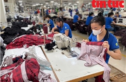 Cước vận tải tăng cao, doanh nghiệp xuất khẩu nỗ lực ứng phó