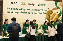 Hội nghị Sầu riêng châu Á lần thứ II tại Việt Nam: Công nghệ mở lối vào thị trường tỷ dân