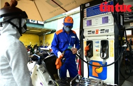 Xăng E10 nhận tín hiệu tích cực từ thị trường sau thời gian triển khai