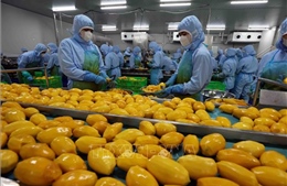 Xuất khẩu nông lâm thủy sản đạt gần 30 tỷ USD
