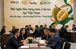 Hội nghị Sầu riêng châu Á lần thứ 2 tại Việt Nam: Giúp nông dân xuất khẩu ngay tại vùng trồng