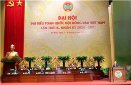 Khai mạc Đại hội đại biểu toàn quốc Hội Nông dân Việt Nam lần thứ IX