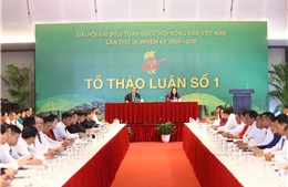 Đề xuất xây dựng hệ sinh thái số kết nối toàn diện cho nông dân