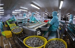 Kết nối cung - cầu, mở rộng thị trường nội địa cho thủy sản Việt