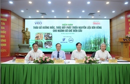 Phát triển nguyên liệu bền vững đưa Việt Nam thành trung tâm chế biến gỗ xanh