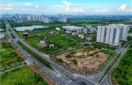 Sửa Luật Đất đai: Đề xuất cấp sổ đỏ cho đất có vi phạm về thủ tục