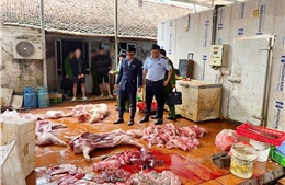 Chuyển cơ quan điều tra vụ gần 1 tấn thịt lợn nghi nhiễm dịch tả lợn châu Phi tại Hưng Yên 