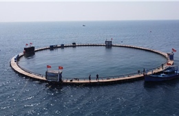  Nuôi biển công nghệ cao mở hướng phát triển kinh tế biển bền vững tại Khánh Hòa