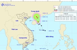 Áp thấp nhiệt đới di chuyển theo hướng Bắc, gió giật cấp 8