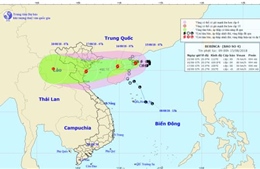 Bão số 4 cách bờ biển Quảng Ninh, Nghệ An hơn 300 km, gió giật cấp 11