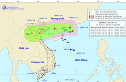 Bão số 4 liên tục đổi hướng, đi vào Quảng Ninh và Nam Định