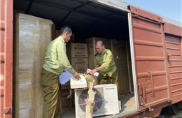 Phát hiện hàng trăm chiếc điều hòa, tủ lạnh nghi nhập lậu