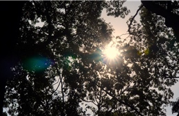 TP Hồ Chí Minh nắng nóng có xu hướng tăng trên diện rộng, tia UV ở mức cao