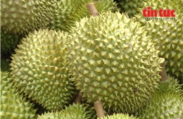 Chuối, dứa, dừa, chanh dây &#39;vươn mình&#39; thành nông sản tỷ đô