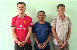 Công an TP Hồ Chí Minh triệt phá đường dây trộm cắp và tiêu thụ xe máy liên tỉnh