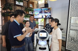 TP Hồ Chí Minh: Hình thành hệ sinh thái đổi mới sáng tạo thực chất trong khu vực công 