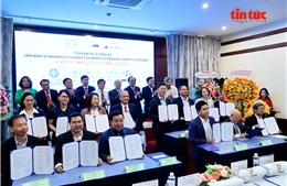 TP Hồ Chí Minh: Ra mắt Liên minh về nghiên cứu và đào tạo nhân lực bán dẫn, vi điện tử